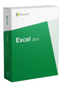 Microsoft Excel 2013