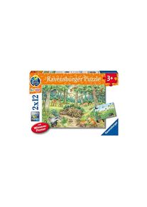 Ravensburger Kinderpuzzle - 05673 Tiere im Wald und Auf der Wiese - 2x12 Teile + Wissensposter, Wieso Weshalb Warum Puzzle für Kinder AB 3 Jahren: