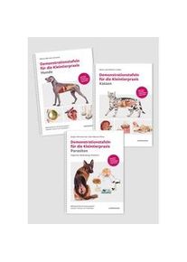 Demonstrationstafeln Für Die Kleintierpraxis Hund Katze Und Parasiten 3 Bde. Im Set Gebunden