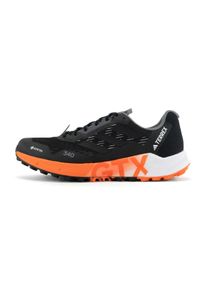 Adidas Terrex Agravic Flow 2 GTX Men