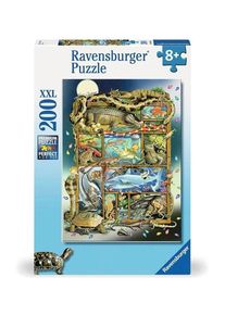 Ravensburger Reptilien im Regal