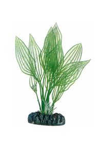 Aponogeton, Plante d'aquarium artificielle pour la décoration - 16 cm - HOBBY