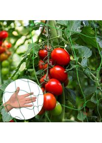1.8x5m Garden Plant Climbing Net Set Tomato Vine Growth Large-Grid