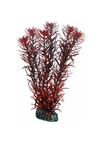Eusteralis, Plante d'aquarium artificielle pour la décoration - 20 cm - HOBBY