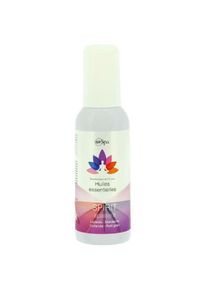 Adnauto - air spa Spray a base d'huiles essentielles - Parfum Spirit - 50 ml