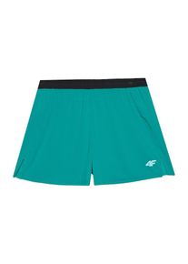 4F Pantaloni Uomo - verde / nero