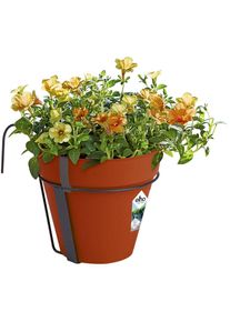Elho - Bac à fleurs Jardinière en plastique pour jardin balcon maison Pot de fleurs avec support Rond/ 3 Litres