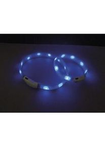 Nobby LED-Halsband breit Visible Hundehalsband leuchtend Blau L (70cm)