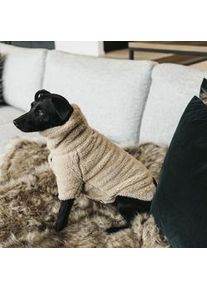Kentucky Dogwear Hunde Pullover Teddy Fleece Beige L