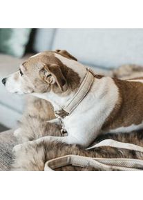 Kentucky Dogwear Hundehalsband Wool Beige 2XS