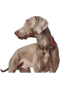 Hunter Hundehalsband List Halsband Bordeaux 38-46cm