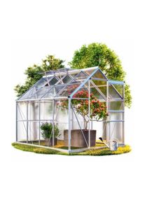 Serre de jardin Aluminium 250 x 190 x 195cm + Fondations avec 2 lucarnes - Transparent