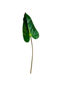 Set 12 feuilles d'anthurium artificiels 89 cm - Wellhome