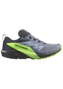Salomon Sense Ride 5 GTX Trail running shoes Men (47 1/3, grey)