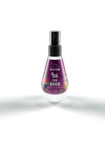 OVER ZOO Luxury perfume for dog Parfüm mit Waldfruchtduft 150 ml (Rabatt für Stammkunden 3%)