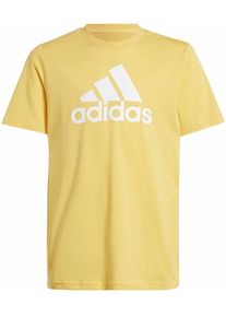 Adidas Essentials Big Logo Jr - T-Shirt - Jungs