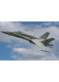 Freewing F/A-18C Hornet Gray Diamonds EPO - RC Jet Modellflugzeug 1034mm High Performance PNP
