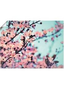Artland Poster »Kirschblüten Romantik«, Blumen, (1 St.) Artland blau
