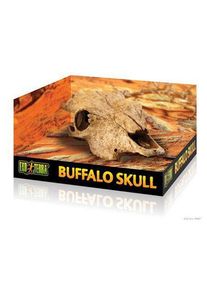 EXO TERRA EXOTERRA - Cave Buffalo Skull - (222.2057)