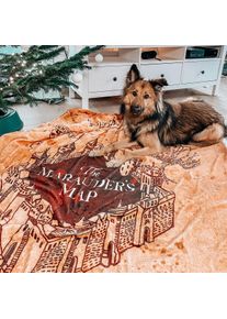 Harry Potter - Mappa del Malandrino Coperta morbida con pelo di orso di peluche