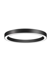Brumberg Biro Circle Ring, Ø 60 cm, Casambi, schwarz, 840