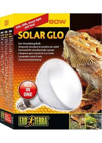 EXO TERRA EXOTERRA - Solar Glo 80W Uva/Uvb Heat & Sunlight E27 - (220.1818)