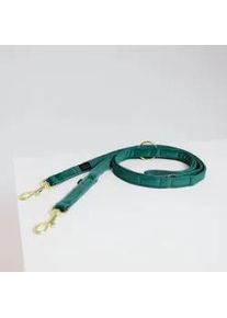 Kentucky Dogwear Hundeleine Velvet 200 cm Size L Emerald