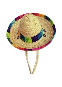 Csparkv - Chapeau de paille pour animal domestique drôle mexicain Sombrero Décorations de fête pour anniversaire pour petits animaux de