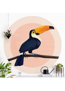 MICASIA Papier peint rond autocollant - Laura Graves - Illustration Bird Toucan Painting Pastel Ø 225cm