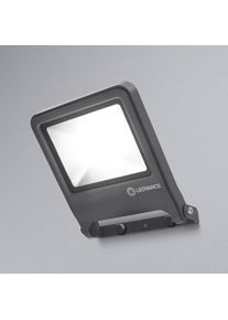 LEDVANCE Endura Floodlight LED-Außenstrahler 50W
