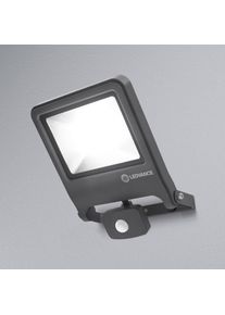 LEDVANCE Endura Floodlight Sensor-LED-Strahler 50W