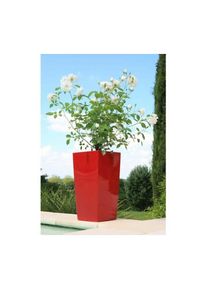 RIVIERA - Pot de fleurs Nuance - Carré - 29 x 29 x h 52 cm - Rouge