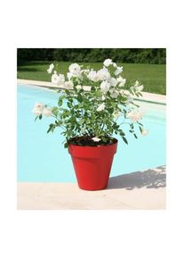 RIVIERA - Pot de fleurs Soleilla - Rond - ÿ 60 x 53,6 cm - Rouge