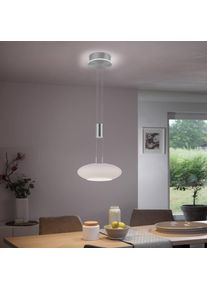 Q-SMART-HOME Paul Neuhaus Q-ETIENNE LED hanging light, 1-bulb