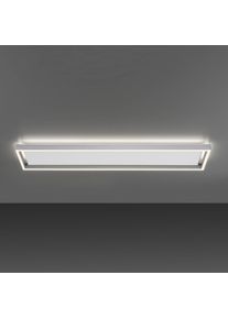 Q-SMART-HOME Paul Neuhaus Q-KAAN LED ceiling lamp 100 x 25 cm