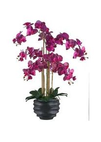 Kunstpflanze , Grün, Lila, Schwarz, Pink , Kunststoff , 90 cm , inkl. Topf, Real-Touch-Oberfläche , Dekoration, Blumen & Blumentöpfe