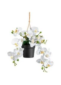 Kunstpflanze , Grün, Schwarz, Weiß , Kunststoff , 25 cm , inkl. Topf , Dekoration, Blumen & Blumentöpfe