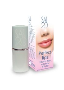 Dermaheal SAL 29 Perfect lips 4g