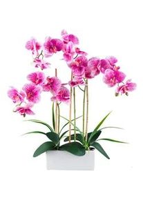 Kunstpflanze , Grün, Weiß, Pink , Kunststoff , 58 cm , inkl. Topf, Real-Touch-Oberfläche , Dekoration, Blumen & Blumentöpfe