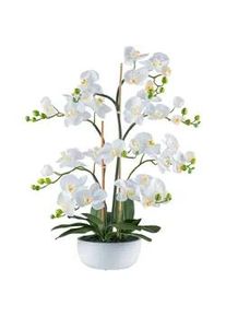Kunstpflanze , Grün, Weiß , Kunststoff , 85 cm , inkl. Topf, Real-Touch-Oberfläche , Dekoration, Blumen & Blumentöpfe