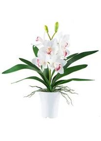 Kunstpflanze , Rosa, Weiß , Kunststoff , 53 cm , Real-Touch-Oberfläche , Dekoration, Blumen & Blumentöpfe