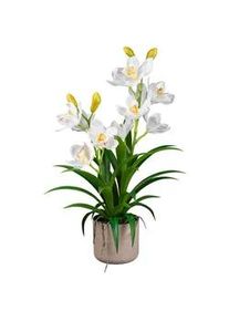 Kunstpflanze , Grau, Grün, Weiß , Kunststoff , 58 cm , inkl. Topf , Dekoration, Blumen & Blumentöpfe