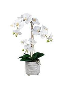 Kunstpflanze , Grün, Weiß , Kunststoff , 58 cm , inkl. Topf , Dekoration, Blumen & Blumentöpfe