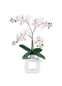 Kunstpflanze , Grün, Rot, Weiß , Kunststoff , 42 cm , Real-Touch-Oberfläche , Dekoration, Blumen & Blumentöpfe
