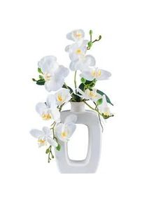 Kunstpflanze , Grün, Weiß , Kunststoff , 42 cm , Real-Touch-Oberfläche , Dekoration, Blumen & Blumentöpfe