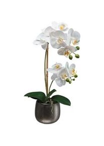 Kunstpflanze , Grün, Weiß, Dunkelgrau , Kunststoff , 48 cm , inkl. Topf , Dekoration, Blumen & Blumentöpfe