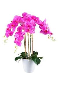 Kunstpflanze , Grün, Weiß, Pink , Kunststoff , 62 cm , inkl. Topf, Real-Touch-Oberfläche , Dekoration, Blumen & Blumentöpfe