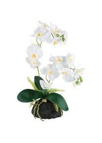 Kunstpflanze , Grün, Weiß , Kunststoff , 45 cm , Real-Touch-Oberfläche , Dekoration, Blumen & Blumentöpfe