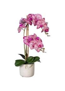 Kunstpflanze , Creme, Grau, Grün, Pink , Kunststoff , 60 cm , inkl. Topf, Real-Touch-Oberfläche , Dekoration, Blumen & Blumentöpfe