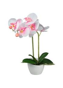 Kunstpflanze , Grün, Rosa, Weiß , Kunststoff , 33 cm , inkl. Topf, Real-Touch-Oberfläche , Dekoration, Blumen & Blumentöpfe